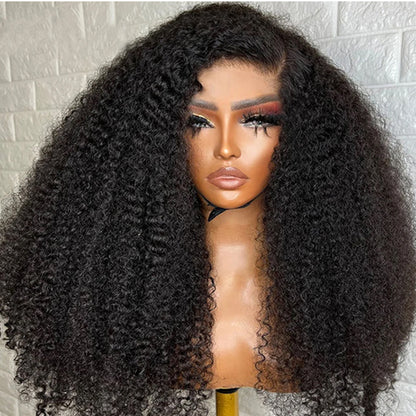 Kinky Curly Lace Front Wigs Human Hair Wigs For Black Women HD 13x4 Curly Wave Lace Front Wigs